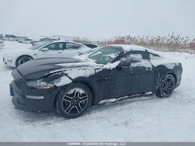 1FA6P8TH1J5173624 Ford Mustang Ecoboost