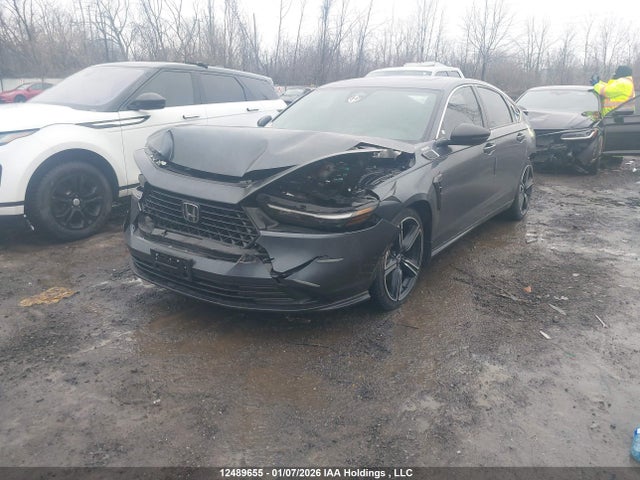 2024 Honda Accord Hybrid მანქანა იყიდება აუქციონზე, vin: 1HGCY2F55RA800337, აუქციონის ნომერი: 12489655