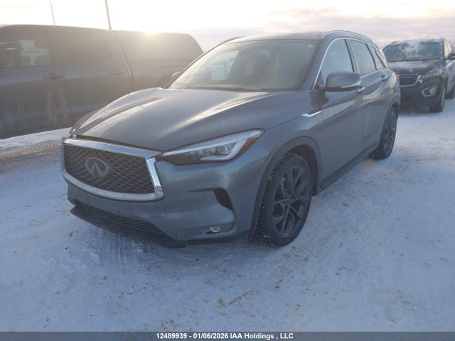 3PCAJ5M32KF112516 Infiniti Qx50 Essential/pure