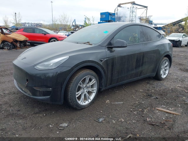 Aukcja sprzedaży 2024 Tesla Model Y, vin: 7SAYGDEEXRF072867, numer aukcji: 12490519