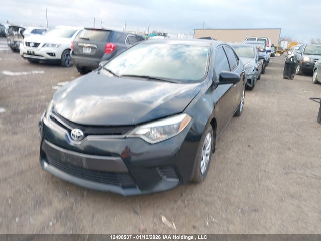 2T1BURHE0FC262407 Toyota Corolla L/le/le Pls/prm/s/s Pls