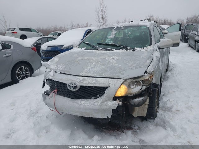 12490603 :رقم المزاد ، 2T1BU40E29C046917 vin ، 2009 Toyota Corolla S/le/xle مزاد بيع