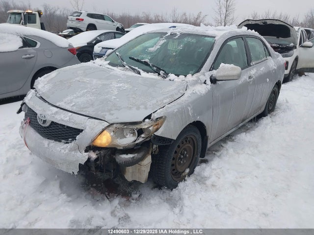12490603 :رقم المزاد ، 2T1BU40E29C046917 vin ، 2009 Toyota Corolla S/le/xle مزاد بيع