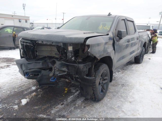 Aukcja sprzedaży 2020 Chevrolet Silverado 1500 Lt Trail Boss, vin: 1GCPYFED4LZ361642, numer aukcji: 12490624