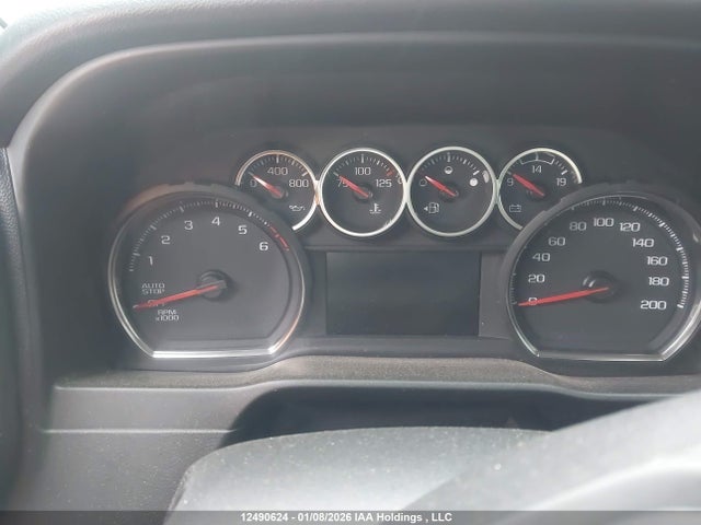 Aukcja sprzedaży 2020 Chevrolet Silverado 1500 Lt Trail Boss, vin: 1GCPYFED4LZ361642, numer aukcji: 12490624