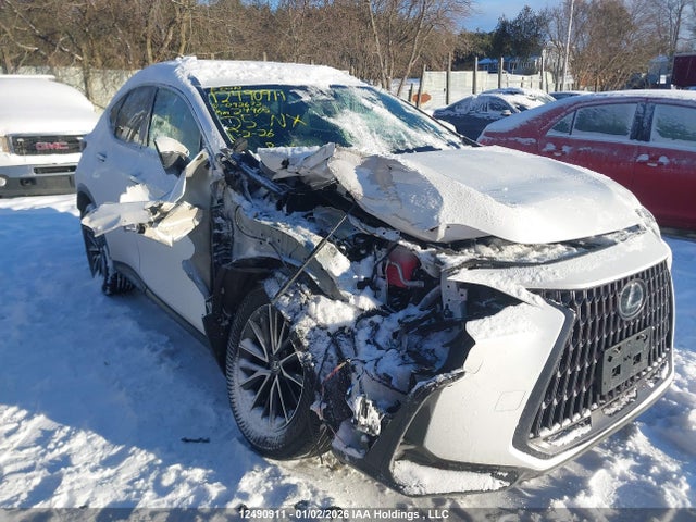 Auction sale of the 2025 Lexus Nx, vin: 2T2GGCEZ2SC092672, lot number: 12490911