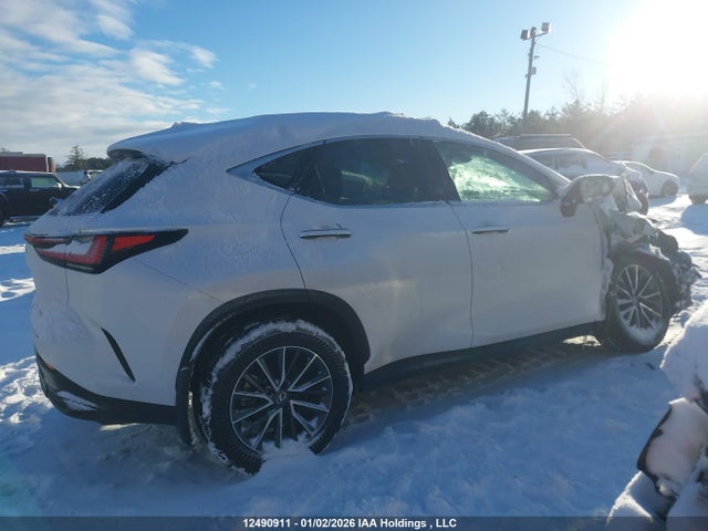 Lexus NX 2025 2T2GGCEZ2SC092672 Image 14