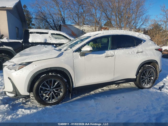 12490911 :رقم المزاد ، 2T2GGCEZ2SC092672 vin ، 2025 Lexus Nx مزاد بيع