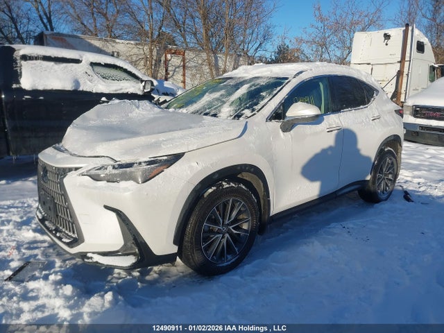 Auction sale of the 2025 Lexus Nx, vin: 2T2GGCEZ2SC092672, lot number: 12490911