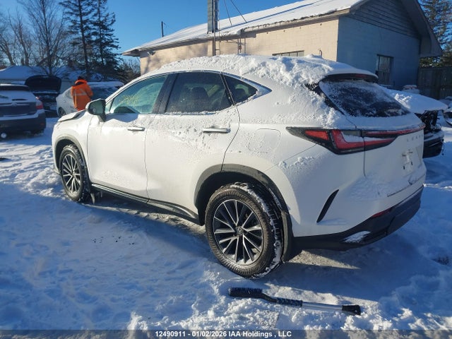 12490911 :رقم المزاد ، 2T2GGCEZ2SC092672 vin ، 2025 Lexus Nx مزاد بيع