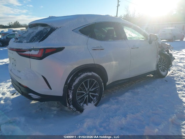 12490911 :رقم المزاد ، 2T2GGCEZ2SC092672 vin ، 2025 Lexus Nx مزاد بيع