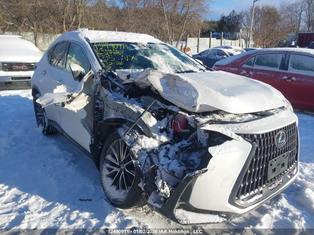 12490911 :رقم المزاد ، 2T2GGCEZ2SC092672 vin ، 2025 Lexus Nx مزاد بيع