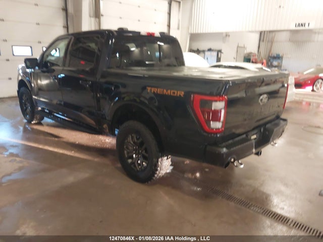 2023 Ford F-150 Tremor მანქანა იყიდება აუქციონზე, vin: 1FTEW1E82PFA67201, აუქციონის ნომერი: 12470846