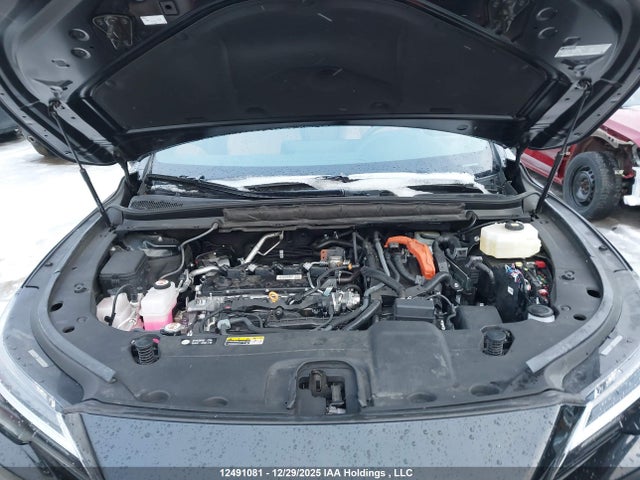 Lexus Rx 350h 2024 2T2BBMCAXRC042480 Image 10