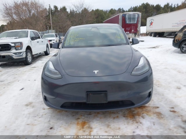 Продажа на аукционе авто 2023 Tesla Model Y Long Range, vin: LRWYGDEE1PC081395, номер лота: 12491117