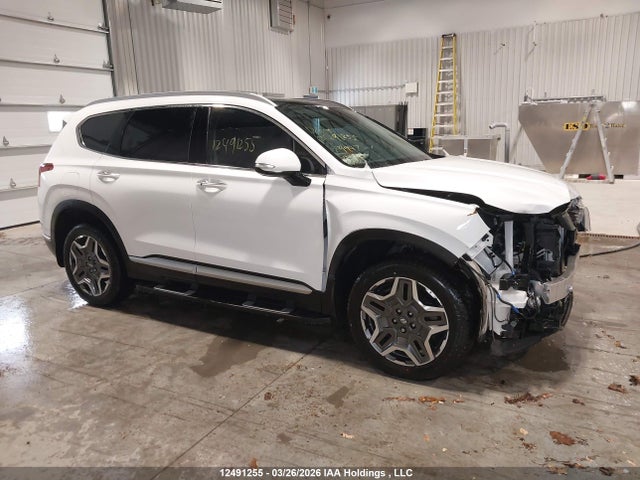 2023 Hyundai Santa Fe Limited მანქანა იყიდება აუქციონზე, vin: KM8S7DA27PU089947, აუქციონის ნომერი: 12491255