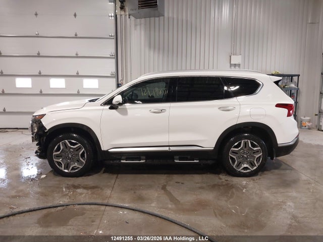 2023 Hyundai Santa Fe Limited მანქანა იყიდება აუქციონზე, vin: KM8S7DA27PU089947, აუქციონის ნომერი: 12491255