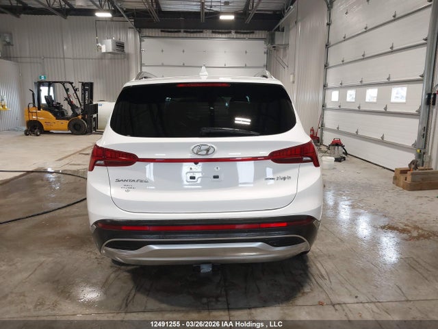 2023 Hyundai Santa Fe Limited მანქანა იყიდება აუქციონზე, vin: KM8S7DA27PU089947, აუქციონის ნომერი: 12491255