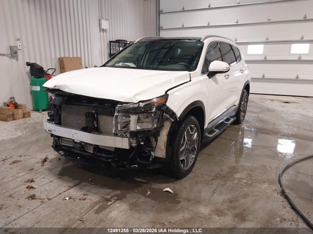 2023 Hyundai Santa Fe Limited მანქანა იყიდება აუქციონზე, vin: KM8S7DA27PU089947, აუქციონის ნომერი: 12491255