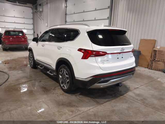 2023 Hyundai Santa Fe Limited მანქანა იყიდება აუქციონზე, vin: KM8S7DA27PU089947, აუქციონის ნომერი: 12491255