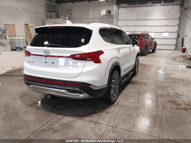 2023 Hyundai Santa Fe Limited მანქანა იყიდება აუქციონზე, vin: KM8S7DA27PU089947, აუქციონის ნომერი: 12491255