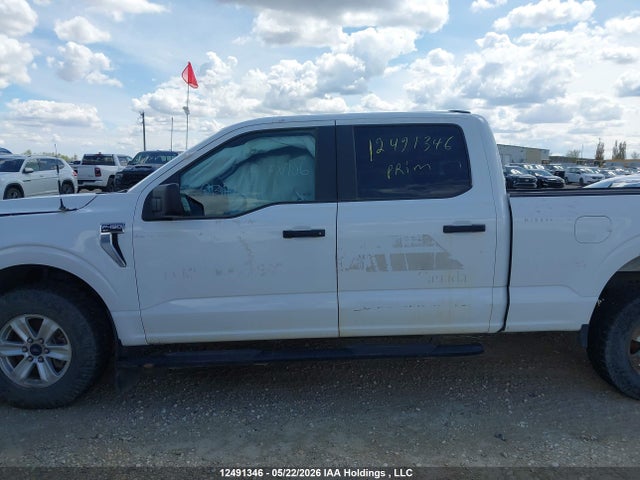 Продажа на аукционе авто 2021 Ford F-150 Xlt, vin: 1FTFW1E51MFC10869, номер лота: 12491346