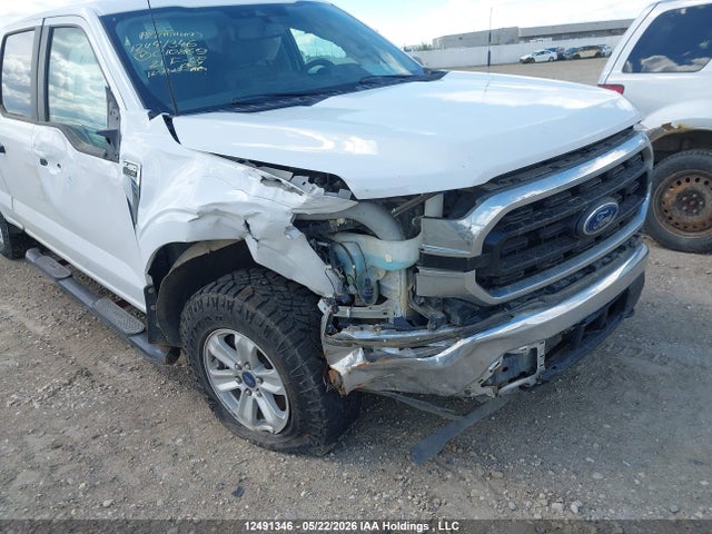 Продажа на аукционе авто 2021 Ford F-150 Xlt, vin: 1FTFW1E51MFC10869, номер лота: 12491346