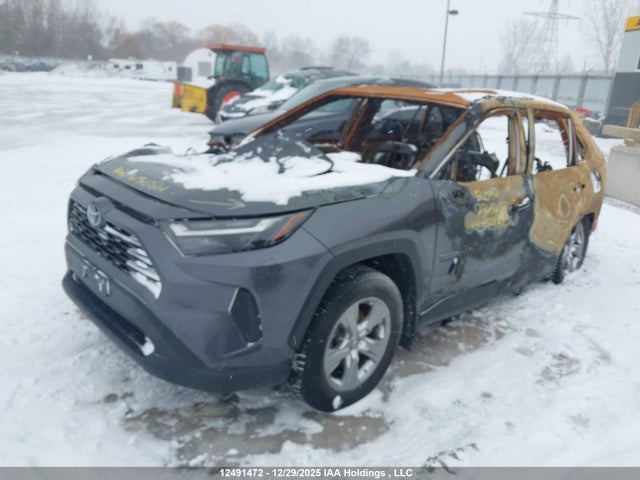 2T3R1RFV3RC450389 Toyota Rav4 Xle