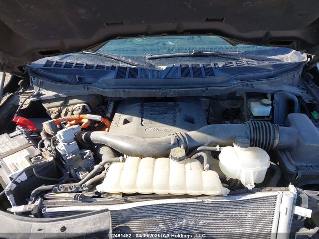 Aukcja sprzedaży 2023 Ford F-150 Xlt, vin: 1FTFW1ED1PFC32186, numer aukcji: 12491482