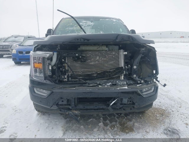 Aukcja sprzedaży 2023 Ford F-150 Xlt, vin: 1FTFW1ED1PFC32186, numer aukcji: 12491482