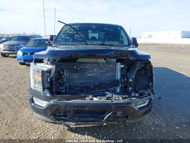 Aukcja sprzedaży 2023 Ford F-150 Xlt, vin: 1FTFW1ED1PFC32186, numer aukcji: 12491482