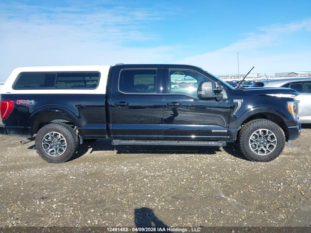 Aukcja sprzedaży 2023 Ford F-150 Xlt, vin: 1FTFW1ED1PFC32186, numer aukcji: 12491482