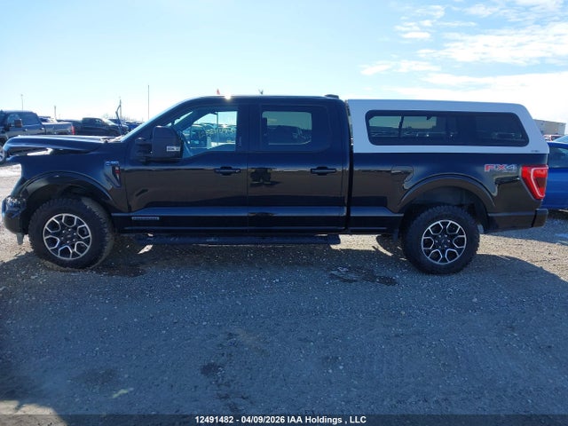 Aukcja sprzedaży 2023 Ford F-150 Xlt, vin: 1FTFW1ED1PFC32186, numer aukcji: 12491482