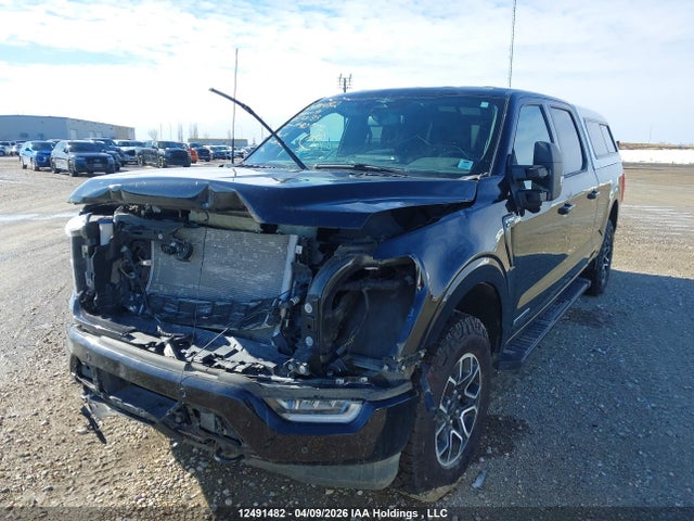 Aukcja sprzedaży 2023 Ford F-150 Xlt, vin: 1FTFW1ED1PFC32186, numer aukcji: 12491482