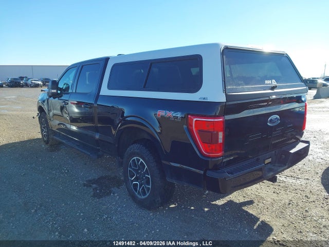 Aukcja sprzedaży 2023 Ford F-150 Xlt, vin: 1FTFW1ED1PFC32186, numer aukcji: 12491482