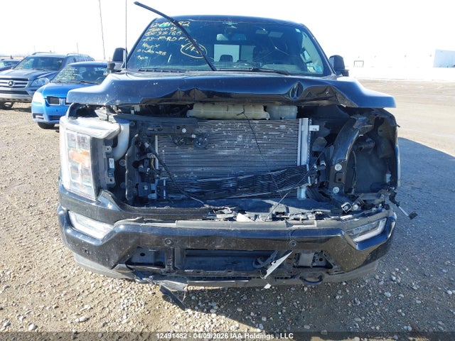 Aukcja sprzedaży 2023 Ford F-150 Xlt, vin: 1FTFW1ED1PFC32186, numer aukcji: 12491482