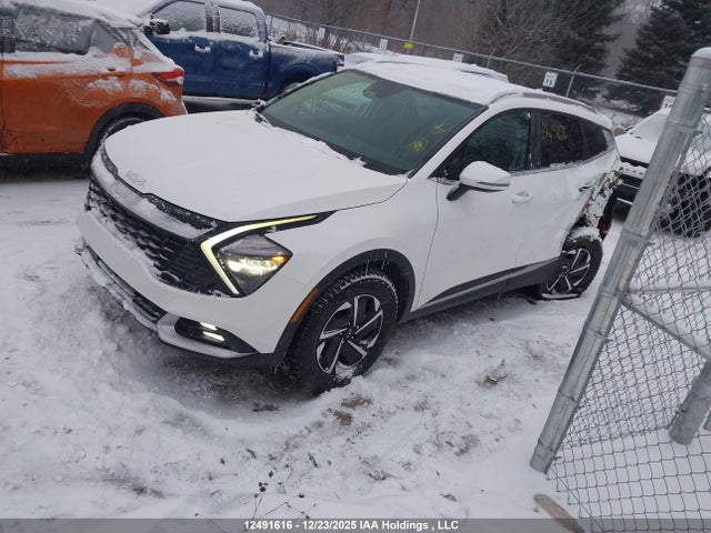 KNDPVCDG9S7246550 KIA SPORTAGE HYBRID