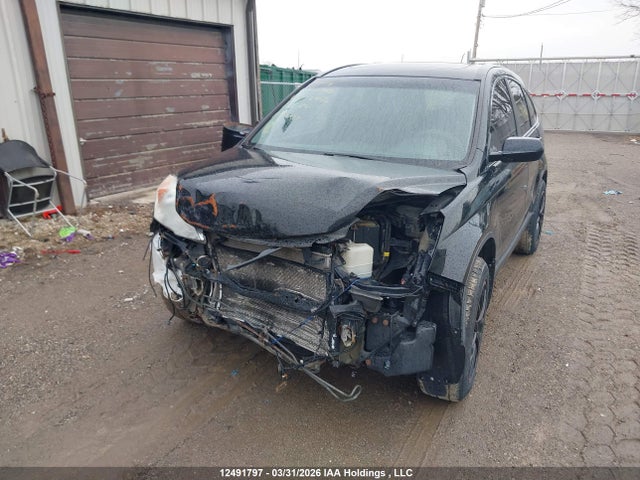 2011 Honda Cr-v Ex მანქანა იყიდება აუქციონზე, vin: 5J6RE4H50BL812944, აუქციონის ნომერი: 12491797