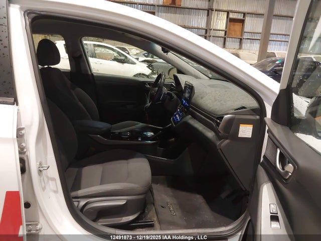 KMHC75LJ4LU073486 Hyundai Ioniq Electric Preferred