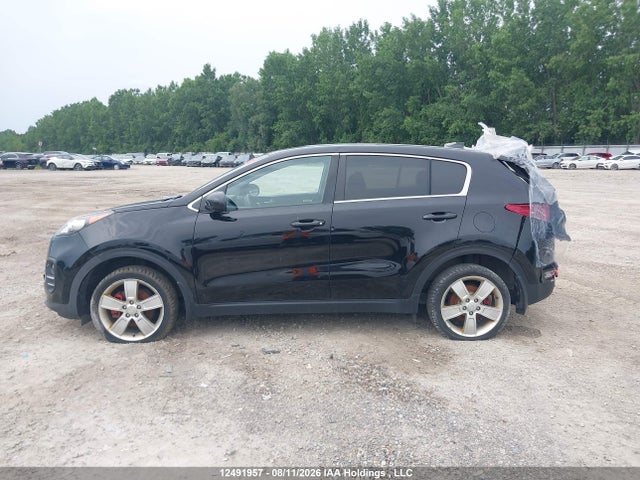 12491957 :رقم المزاد ، KNDPM3ACXK7537367 vin ، 2019 Kia Sportage مزاد بيع