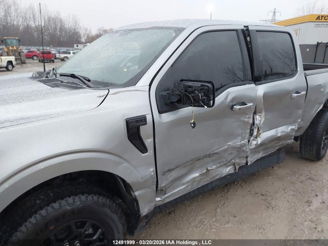Продаж на аукціоні авто 2025 Ford F150 Xlt, vin: 1FTEW3LP1SKD47469, номер лоту: 12491999