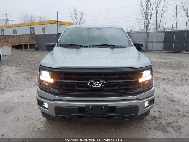 Продаж на аукціоні авто 2025 Ford F150 Xlt, vin: 1FTEW3LP1SKD47469, номер лоту: 12491999