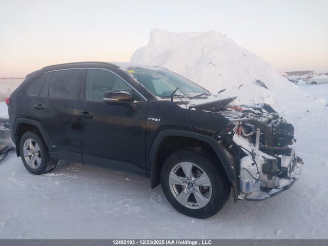 2T3RWRFV8KW014496 Toyota Rav4 Hybrid Xle