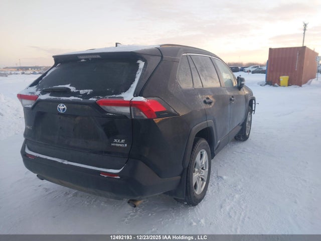 2T3RWRFV8KW014496 Toyota Rav4 Hybrid Xle