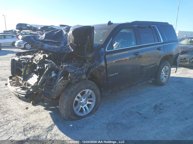 1GNSKAKC3KR248040 Chevrolet Tahoe Ls