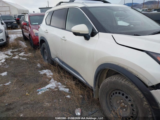 JN8BT3DD0PW305041 Nissan Rogue Platinum