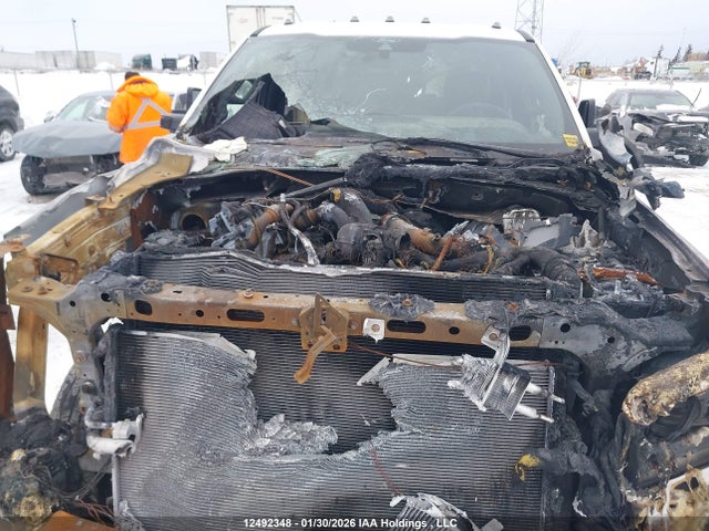 12492348 :رقم المزاد ، 1FT8W3DM9REE68406 vin ، 2024 Ford F350 مزاد بيع