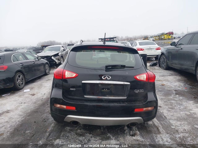JN1BJ0RR8GM262457 Infiniti QX50