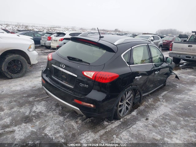 JN1BJ0RR8GM262457 Infiniti QX50