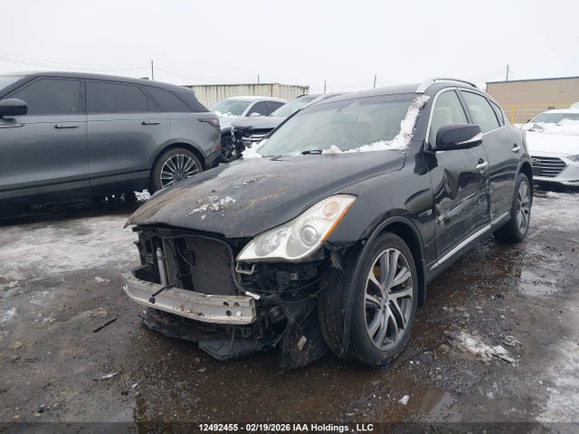 JN1BJ0RR8GM262457 Infiniti QX50